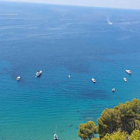 Tenuta Belvedere Cilento 몬테코리스 외부 사진