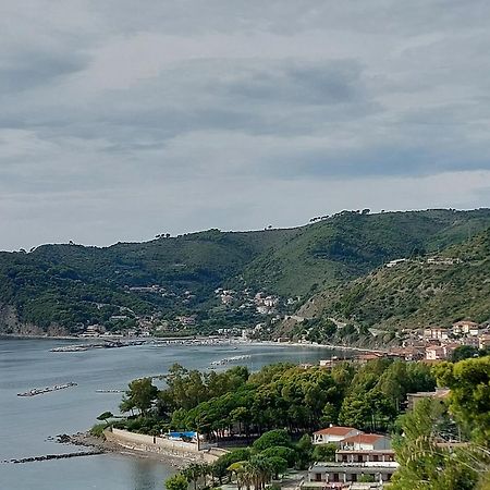 Tenuta Belvedere Cilento 몬테코리스 외부 사진