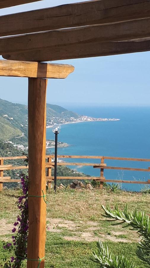 Tenuta Belvedere Cilento 몬테코리스 외부 사진