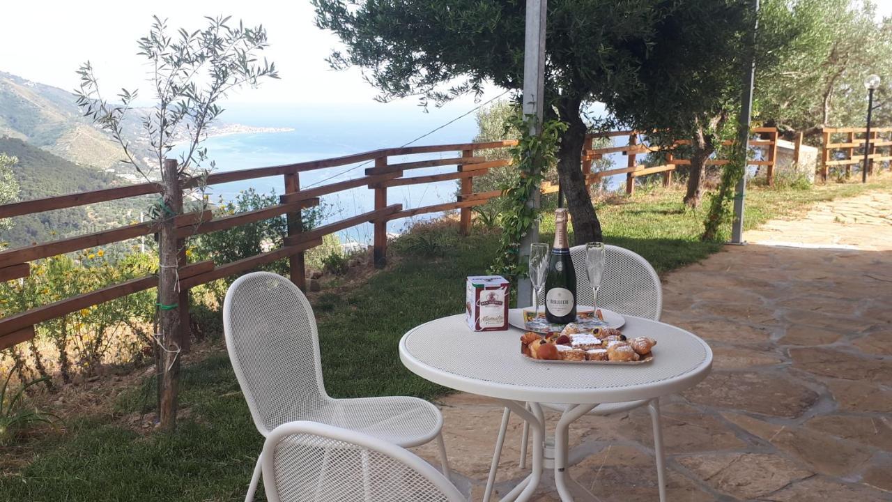 Tenuta Belvedere Cilento 몬테코리스 외부 사진