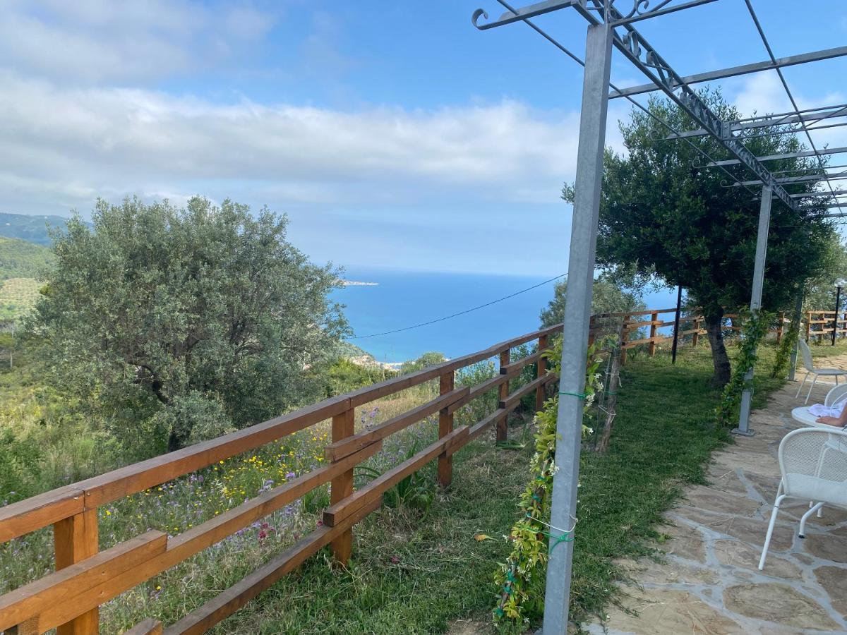 Tenuta Belvedere Cilento 몬테코리스 외부 사진