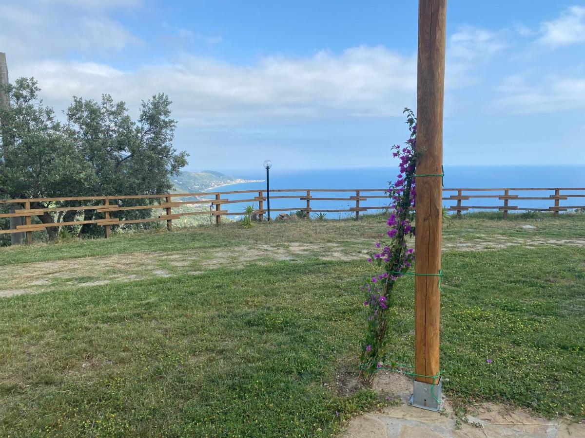 Tenuta Belvedere Cilento 몬테코리스 외부 사진