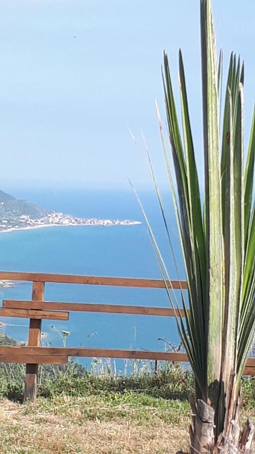 Tenuta Belvedere Cilento 몬테코리스 외부 사진