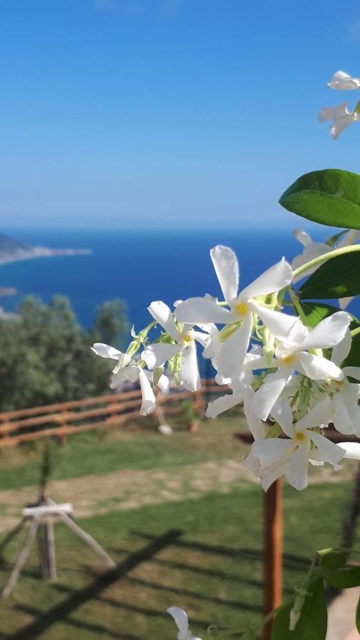 Tenuta Belvedere Cilento 몬테코리스 외부 사진