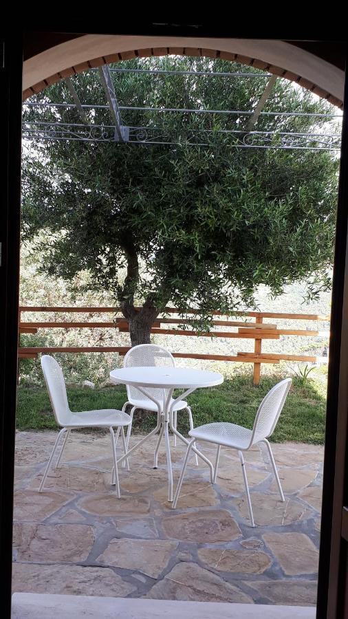 Tenuta Belvedere Cilento 몬테코리스 외부 사진