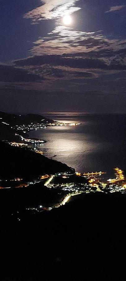 Tenuta Belvedere Cilento 몬테코리스 외부 사진