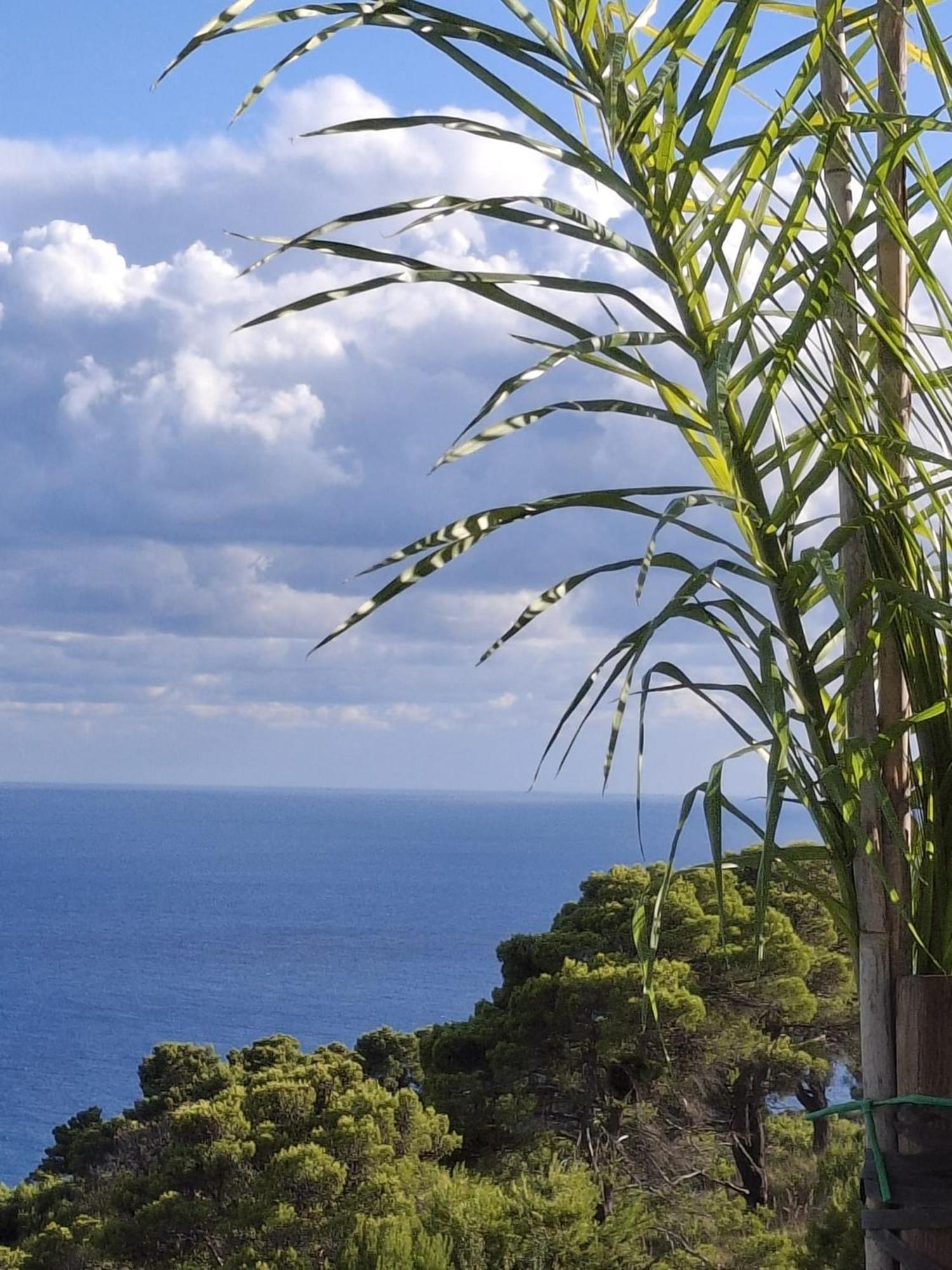 Tenuta Belvedere Cilento 몬테코리스 외부 사진