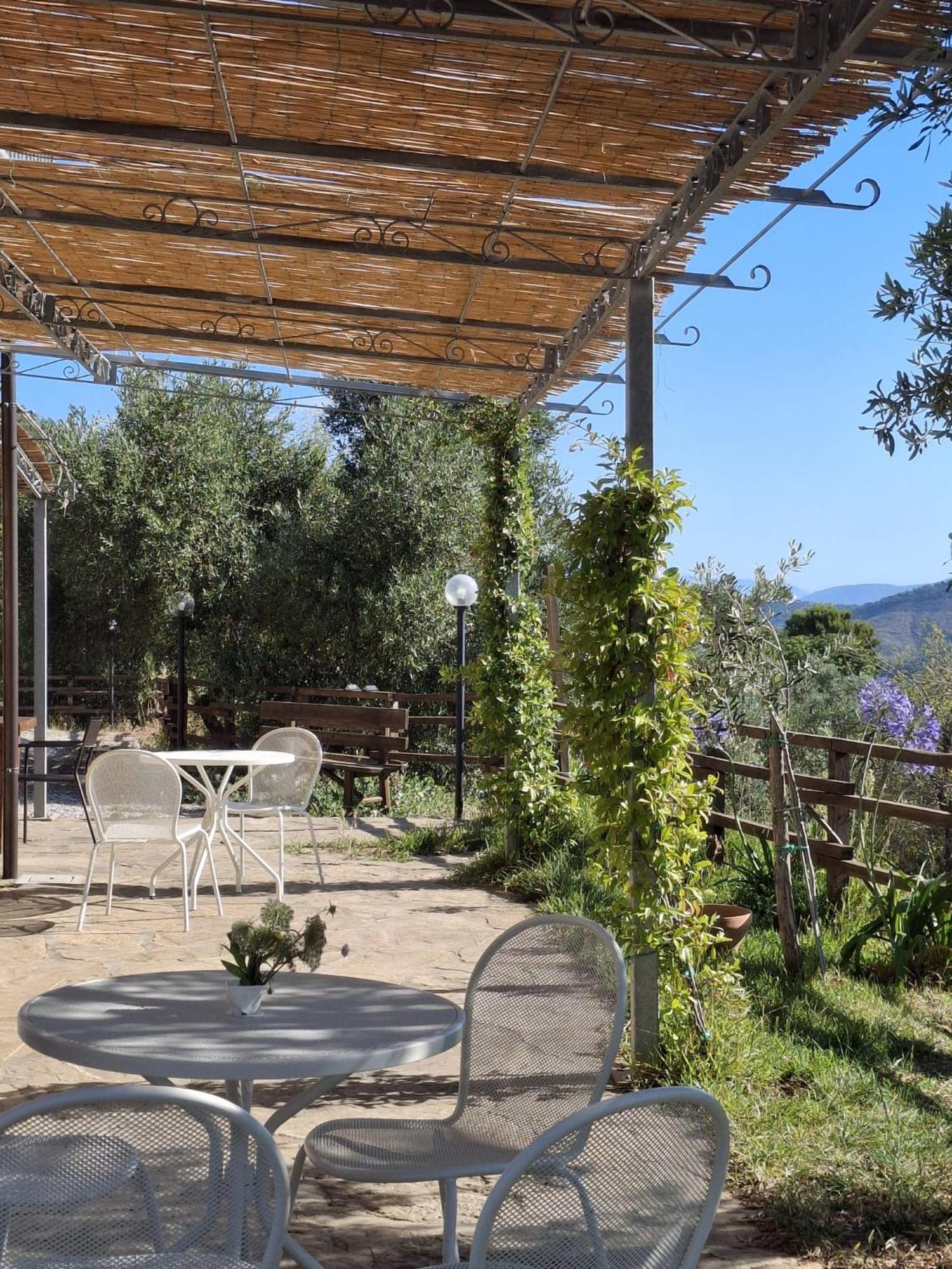 Tenuta Belvedere Cilento 몬테코리스 외부 사진